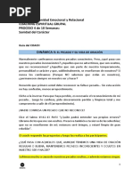 COACH Dinámica 4, Sanidad, Proceso 4