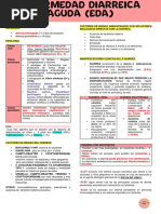 Enfermedad Diarreica