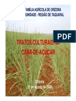 SLIDES TratosCulturais CanaDeAcucar