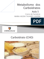 Aula 5 Metabolismo Dos Carboidratos