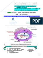 1ère Partie de La 3ème Semaine - GASTRULATION FORMATION DE LA CHORDE