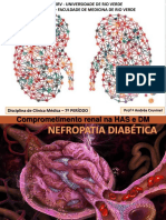 AULA 3 - Comprometimento Renal Na HAS e DM