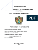 Portafolio Alagón