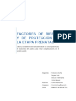 Factores de Riesgo y de Protección en El Prenata1