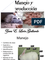 Manejo y Reproduccion Conejos 2022 - Ii-Ps.