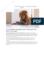 Cultivos Probióticos para Perros y Gatos