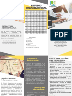 Folleto Estudio Organizacional