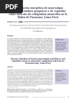 2021 - Valorizacion Energetica de Macroalgas Marinas - Residuos Pequeros y de Vegetales Como Sustrato de Codigestion Anaerobia en La Bahia de Pucusana - Lima - Perú