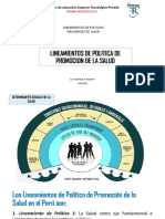 16 Lineamientos de Politica de Promocion de La Salud 22