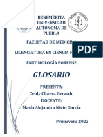 GLOSARIO