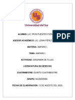 Diagrama de Flujo (Actos de Autoridad)