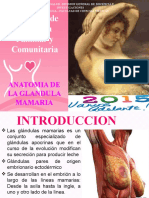 PPT# 1 Anatomia de La Mama