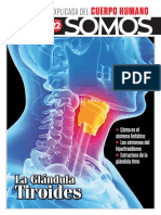 Asi Somos El Cuerpo Humano F22 - 2023