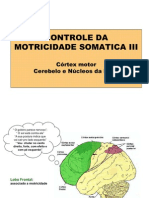 Controle Motricidade Voluntaria