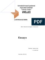 Ensayo Lenguaje y Comunicación