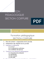 Formation Pedagogique COIFFEURS2013