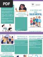 3.triptico Lo Que Debemos Saber de La Salud Mental