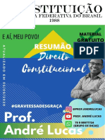 Direito Constitucional - Prof - André Lucas