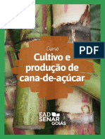 Produção de Cana