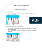 Formas Geométricas de Los Dientes