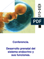 Desarrollo Del Sistema Endocrino