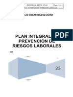 PIPRL Formato Julio Ramos