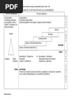 Historia Natural de La Enfermedad