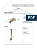 Exercise 6B (Bio 2206L) - Chiong&Marifosque