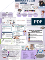 Bases Conceptuales de La Salud Colectiva