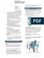 Medical Surgical Nursing Lecture Support of Renal Function and MODS 11152022 Short