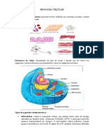 Resumo Biologia Celular