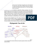 Microbiology Origin of Microrganisms