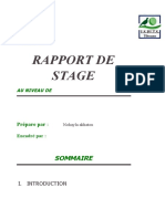 Rapport de Stage