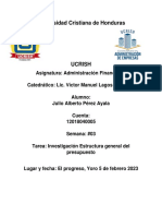 Investigación Estructura General Del Presupuesto