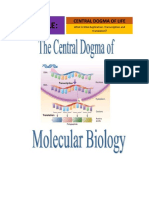 Central Dogma Worksheet