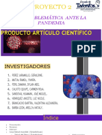 La Problematica Ante La Pandemia