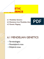 CHP 6N - Genetic Inheritance