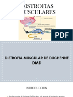 Distrofias Musculares