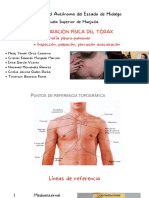 EXPLORACIÓN FÍSICA DEL TÓRAX Toporafía Pleuro-Pulmonar Inspección, Auscultación