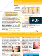 Dermatologia N°10