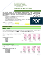 Metabolismo de Nucleótidos (19-11)