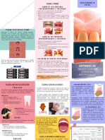 Criterios de Selección de Dientes Artificiales