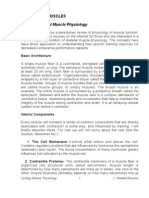 2) SKELETAL MUSCLES A) Basic Skeletal Muscle Physiology