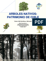 Arboles Nativos