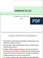 ACIDOS nUCLEICOS