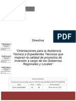 DI-011-02-PRONIED Orientación para La Asistencia Técnica A Expedientes Técnicos