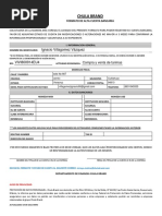 PDF Documento