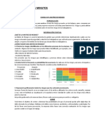 Charla N°4 Matriz de RIesgos