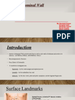 Anterior Abdominal Wall