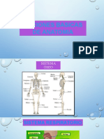 Anatomia y ABC Del Trauma